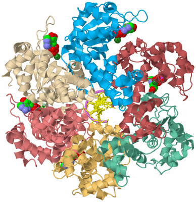 Image Biological Unit 2