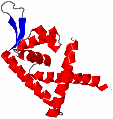 Image Asymmetric Unit