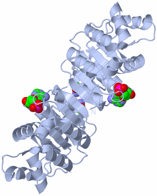 Image Biological Unit 1