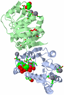 Image Asym./Biol. Unit - sites