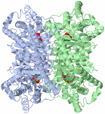 Image Biological Unit 1