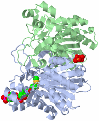 Image Asym./Biol. Unit