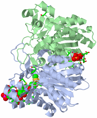 Image Asym./Biol. Unit - sites