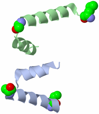 Image Asymmetric Unit