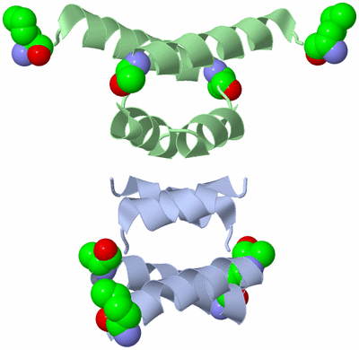 Image Biological Unit 3