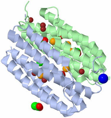 Image Asym./Biol. Unit