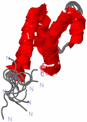 Image NMR Structure - all models