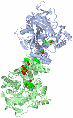 Image Asym./Biol. Unit