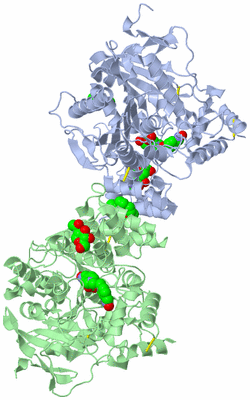 Image Asym./Biol. Unit