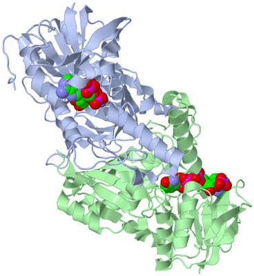 Image Asym./Biol. Unit