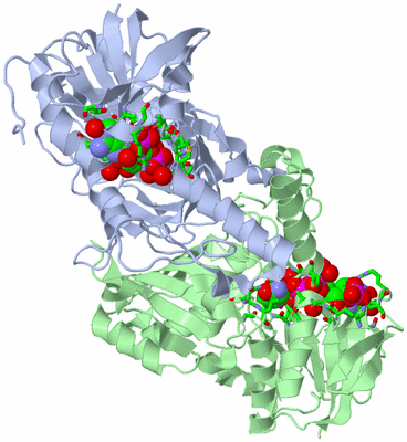 Image Asym./Biol. Unit - sites