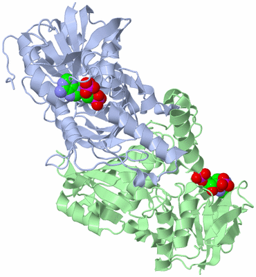 Image Asym./Biol. Unit