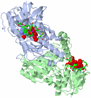 Image Asym./Biol. Unit - sites