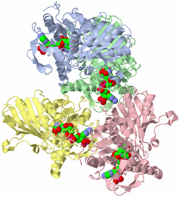 Image Biological Unit 1