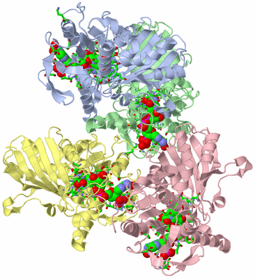 Image Biol. Unit 1 - sites