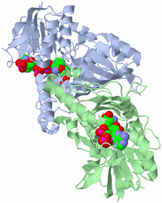 Image Biological Unit 2