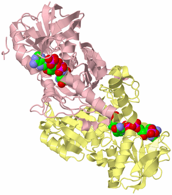 Image Biological Unit 3