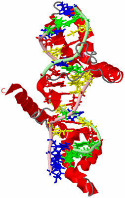 Image NMR Structure - model 1