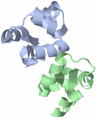 Image NMR Structure - model 1