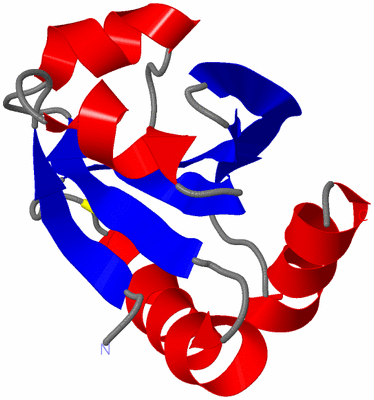 Image NMR Structure - model 1