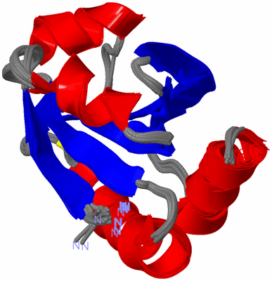 Image NMR Structure - all models