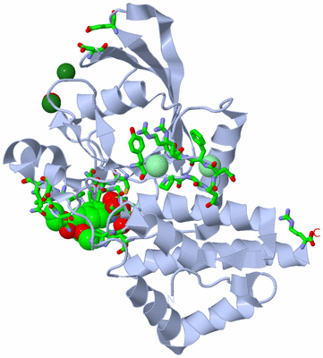 Image Biol. Unit 1 - sites