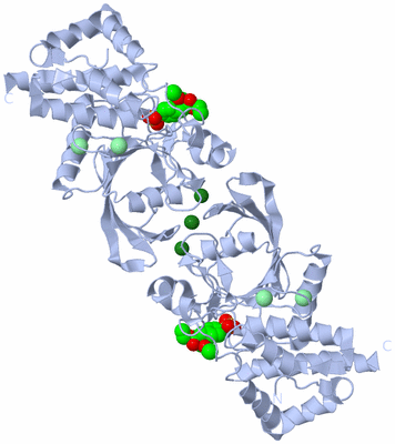 Image Biological Unit 2