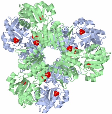 Image Biological Unit 1