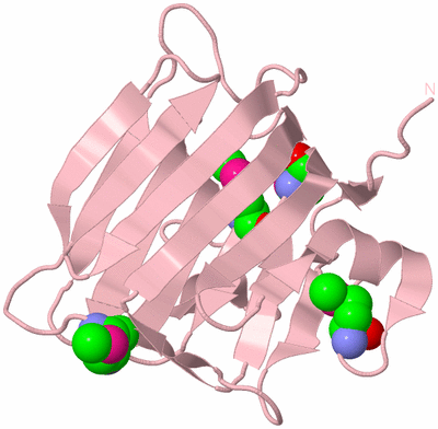 Image Biological Unit 3