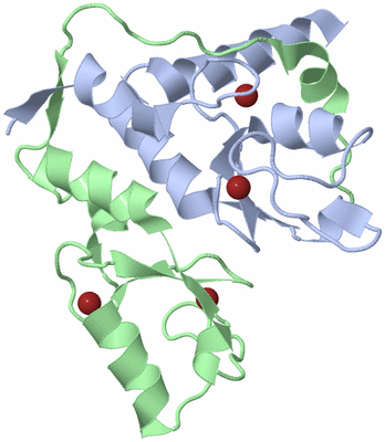 Image Asym./Biol. Unit