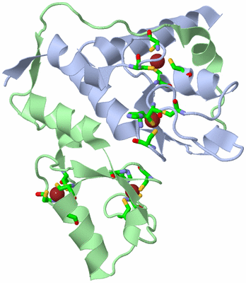 Image Asym./Biol. Unit - sites