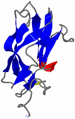 Image NMR Structure - model 1