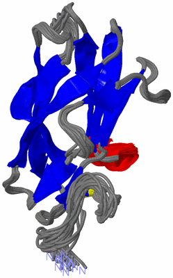 Image NMR Structure - all models