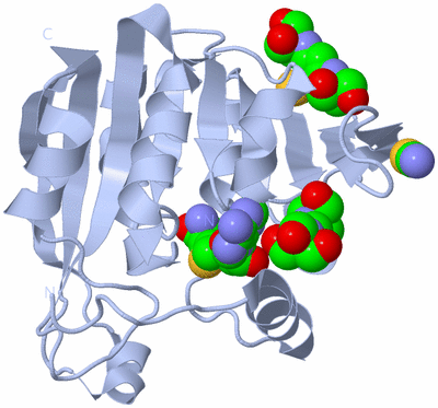 Image Biological Unit 1