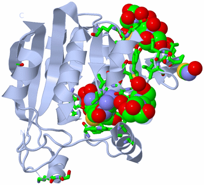 Image Biol. Unit 1 - sites