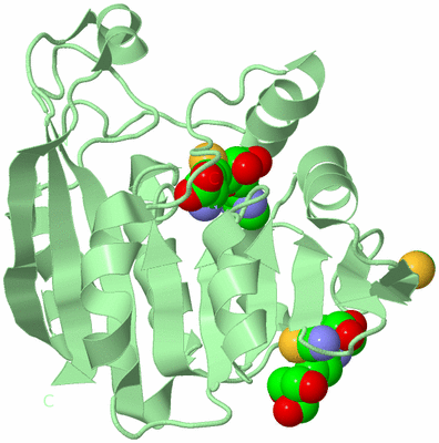 Image Biological Unit 2