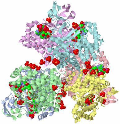 Image Asym./Biol. Unit