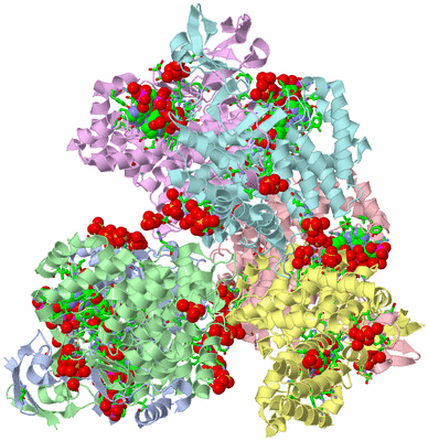 Image Asym./Biol. Unit - sites