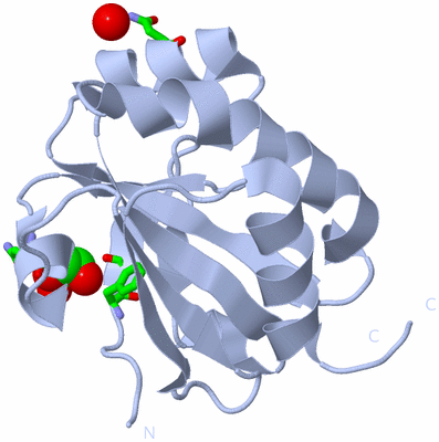 Image Biol. Unit 1 - sites