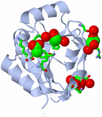 Image Biol. Unit 1 - sites