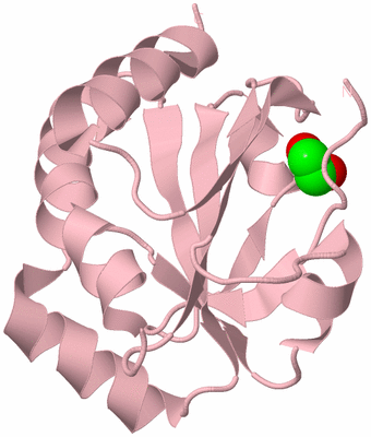 Image Biological Unit 3