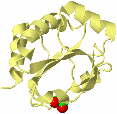 Image Biological Unit 4