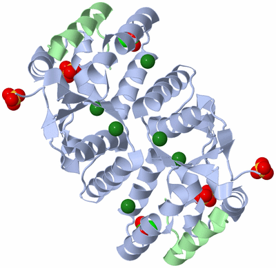 Image Biological Unit 1