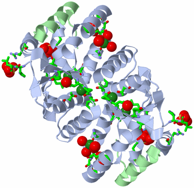 Image Biol. Unit 1 - sites