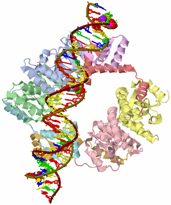 Image Asym./Biol. Unit