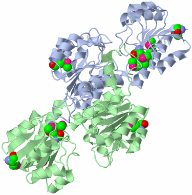 Image Biological Unit 1