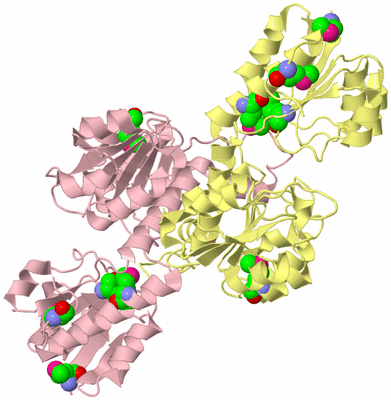 Image Biological Unit 2