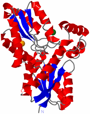 Image Asym./Biol. Unit