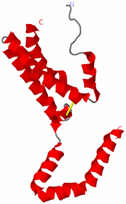 Image Asymmetric Unit