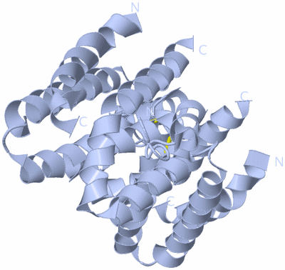 Image Biological Unit 1